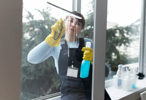 Nettoyage de vitres intérieures et extérieures à Villerbon